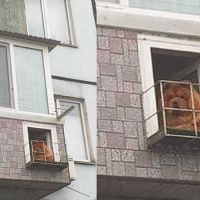balkon-1